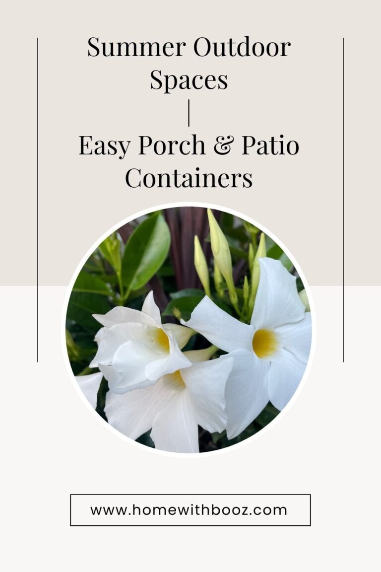 Summer Outdoor Spaces | Easy Porch & Patio Container Plants